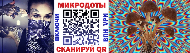 Псилоцибиновые грибы GOLDEN TEACHER  Купить закладки  Разумное 